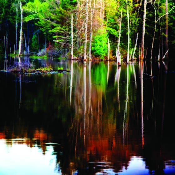More_than_a_reflection