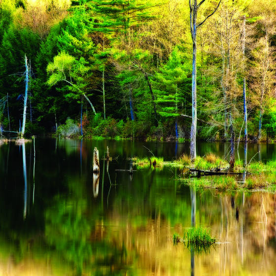 Shoreline_reflection