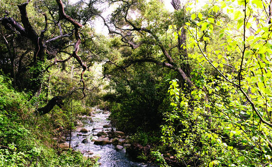 Untitled_3