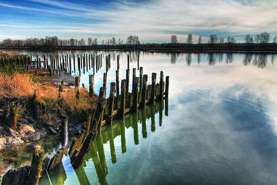 Pilings__1