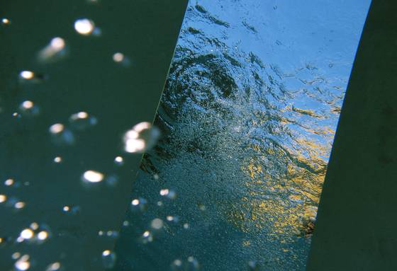 Reflection__18