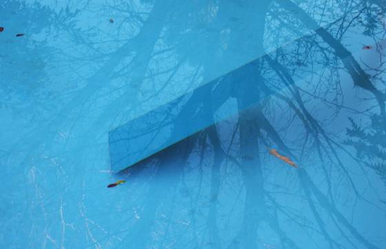 Reflection__75