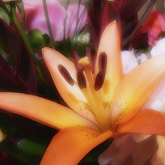 Tiger_lily