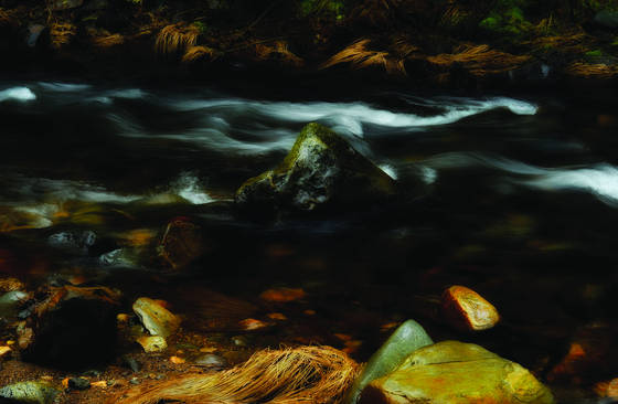 River_ranch_5