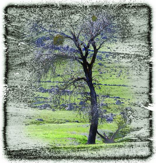 Sutter_buttes_3