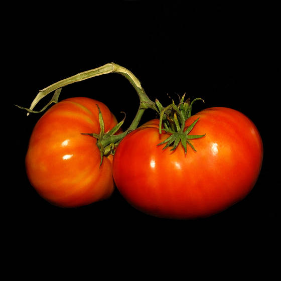 Twotomatoes