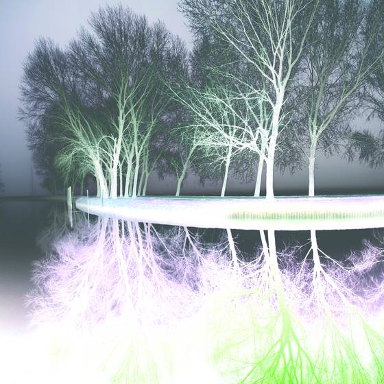In_the_fog__1
