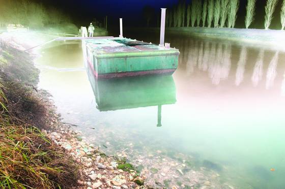 In_the_fog__2