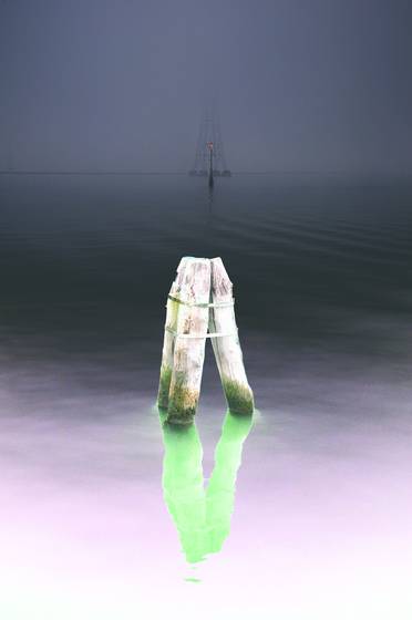 In_the_fog__4