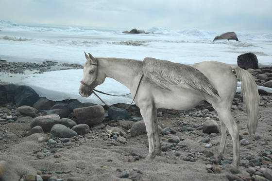 Ice_horse