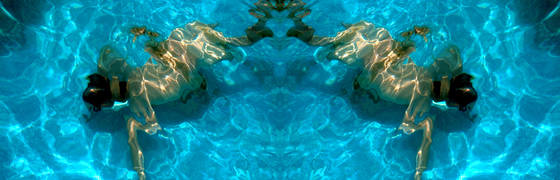 Frog_morph_2