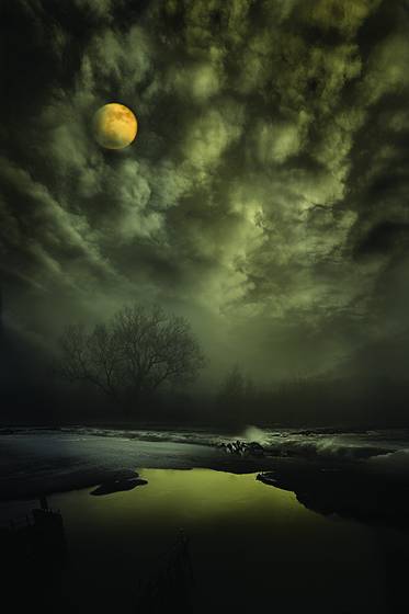 Midnight_on_the_marsh