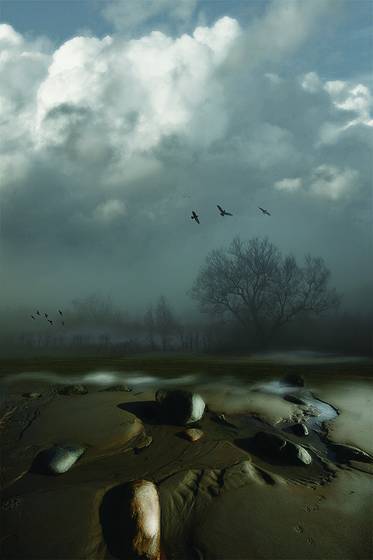 Tree_cloud_stones