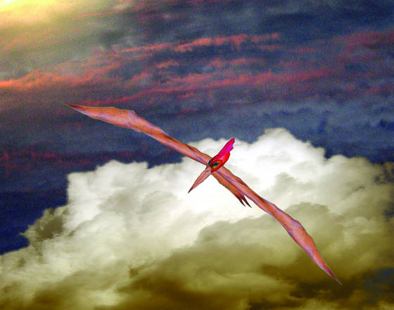 Leafadactyl_-_alone_above_the_clouds