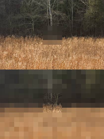 Pasture_12