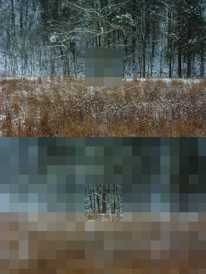 Pasture_2