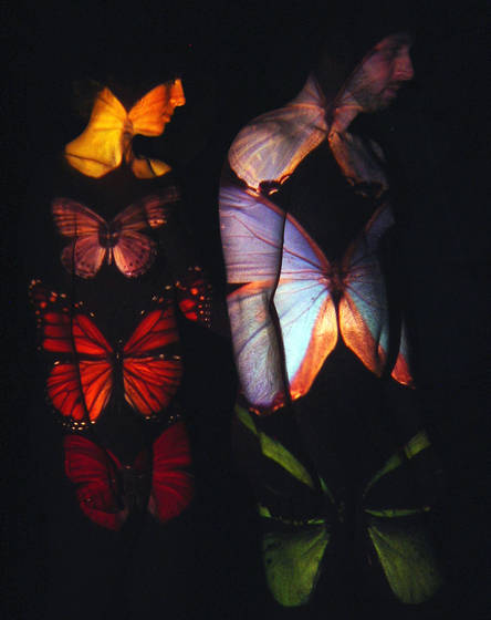 Pair