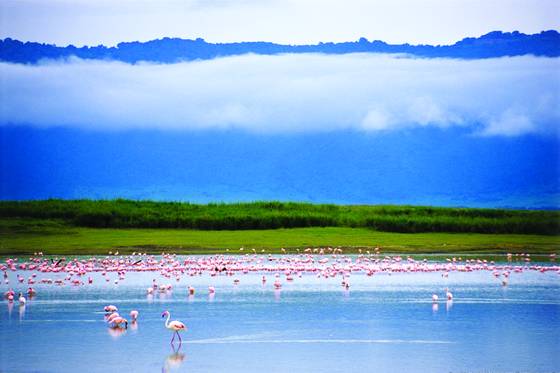 Colors_of_ngorongoro