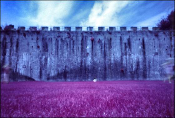 Wall