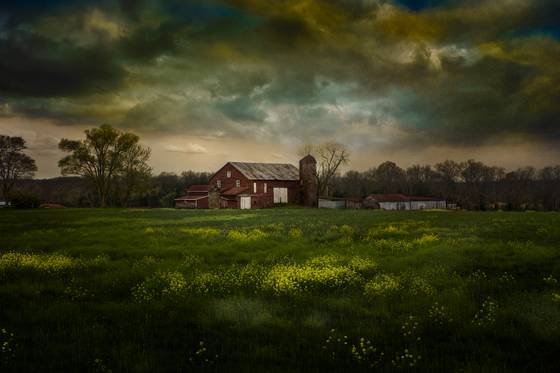 Farm
