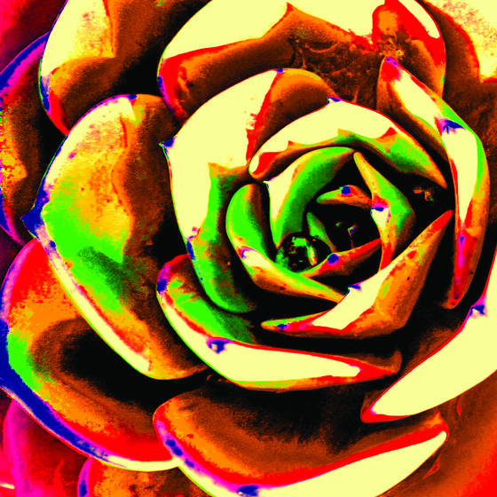 Abstract_cactus