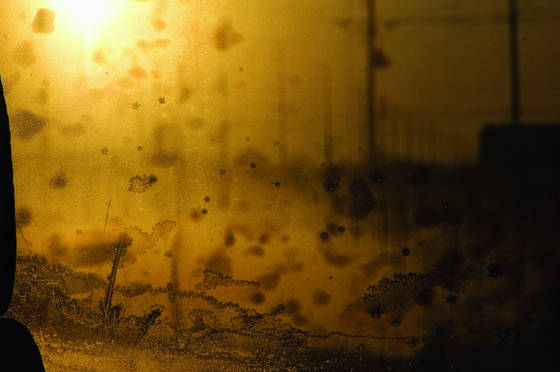 Milestone_4