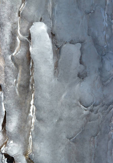 Ice_bark_iv