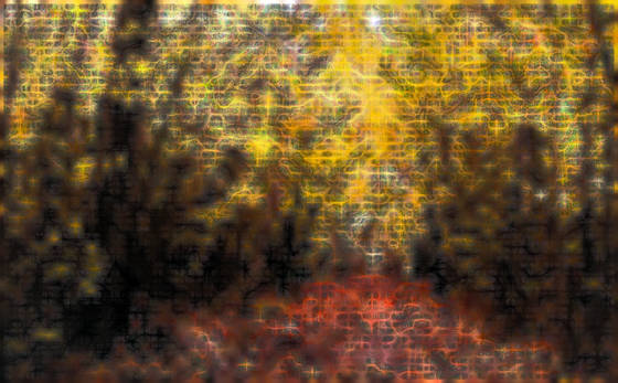Landscape_metamorphosis__12