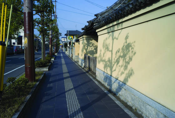 Morning_shadows