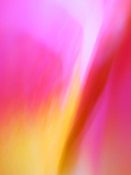 Imagine_bliss_iii