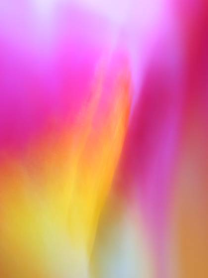 Imagine_bliss_v
