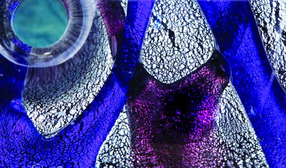 Into_the_glass
