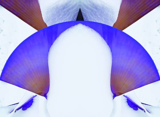 Abstract_from_sculpture