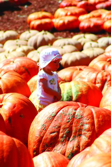 Girl_among_pumpkins