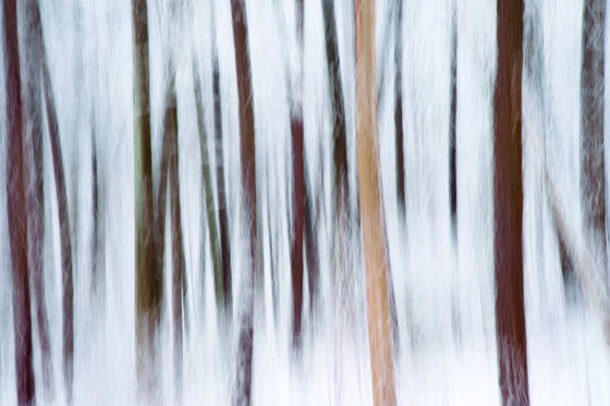 Untitled_1