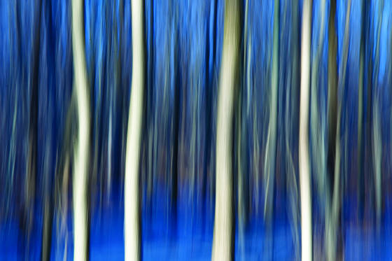 Untitled_3