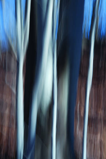 Untitled_4