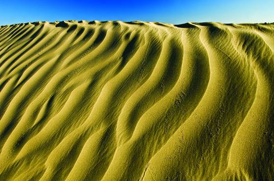 Great_saskatchewan__sand_hills