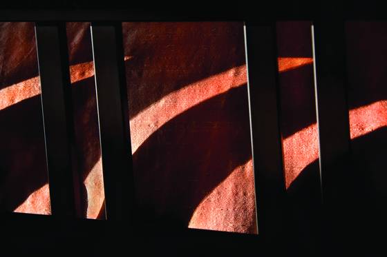 Bed_detail