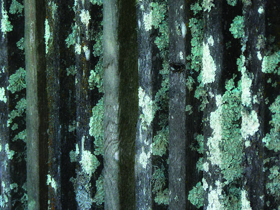Fence