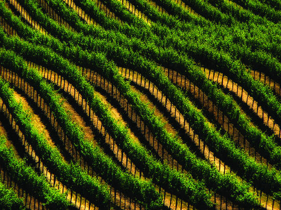 Wine_country