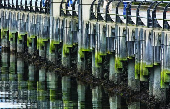 Coal_harbour_4