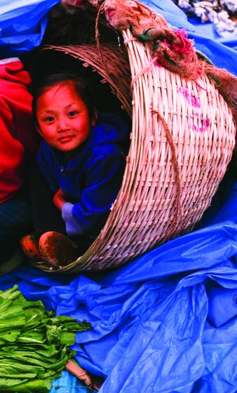 In_the_produce_basket