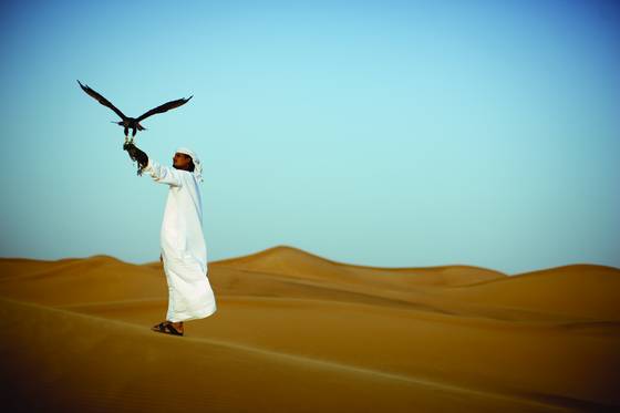 Desert_5