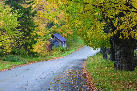 Barn__wilmington