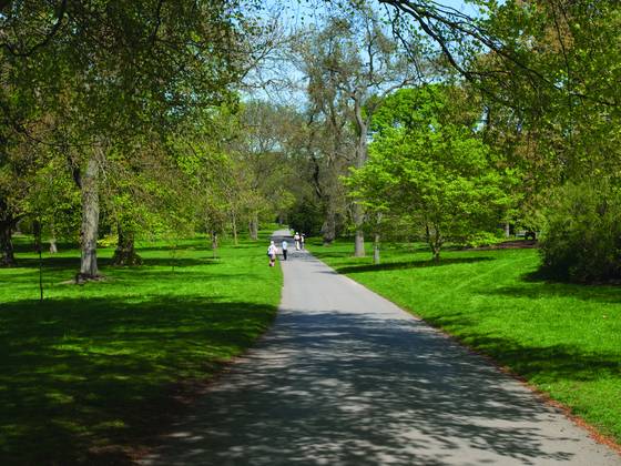 Pathway