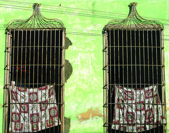 Birdcage