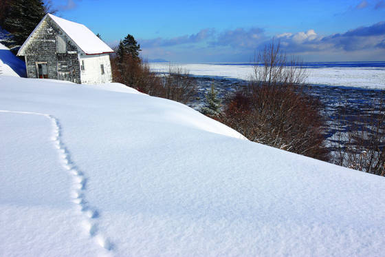 Snowprints