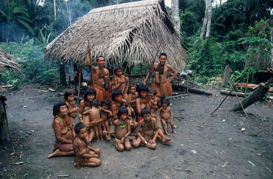 Extended_yagua_family