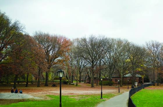 2a_a_walk_in_the_park_-_late_fall